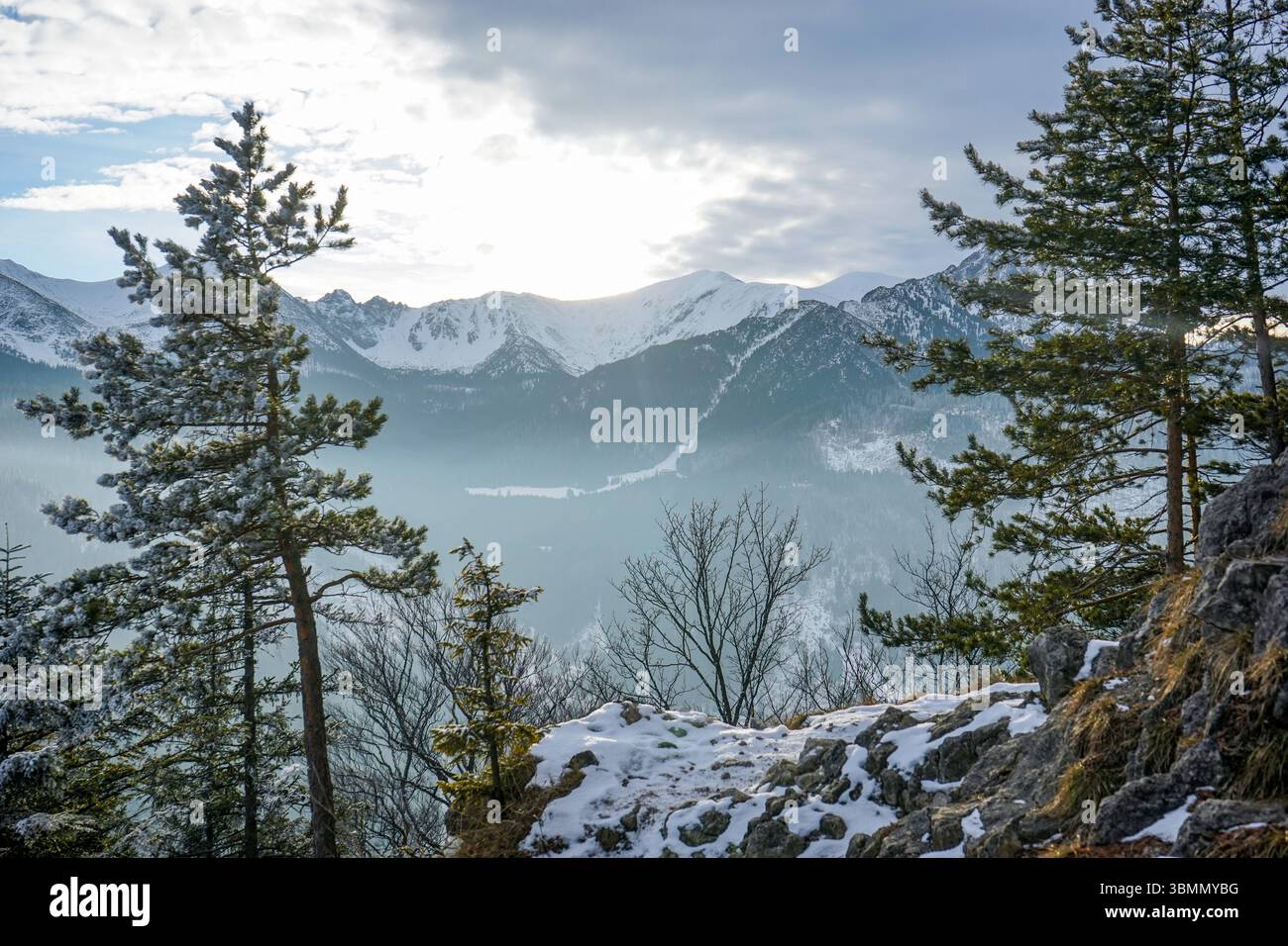 Green Trail à travers Nosal, Zakopane, Pologne Banque D'Images