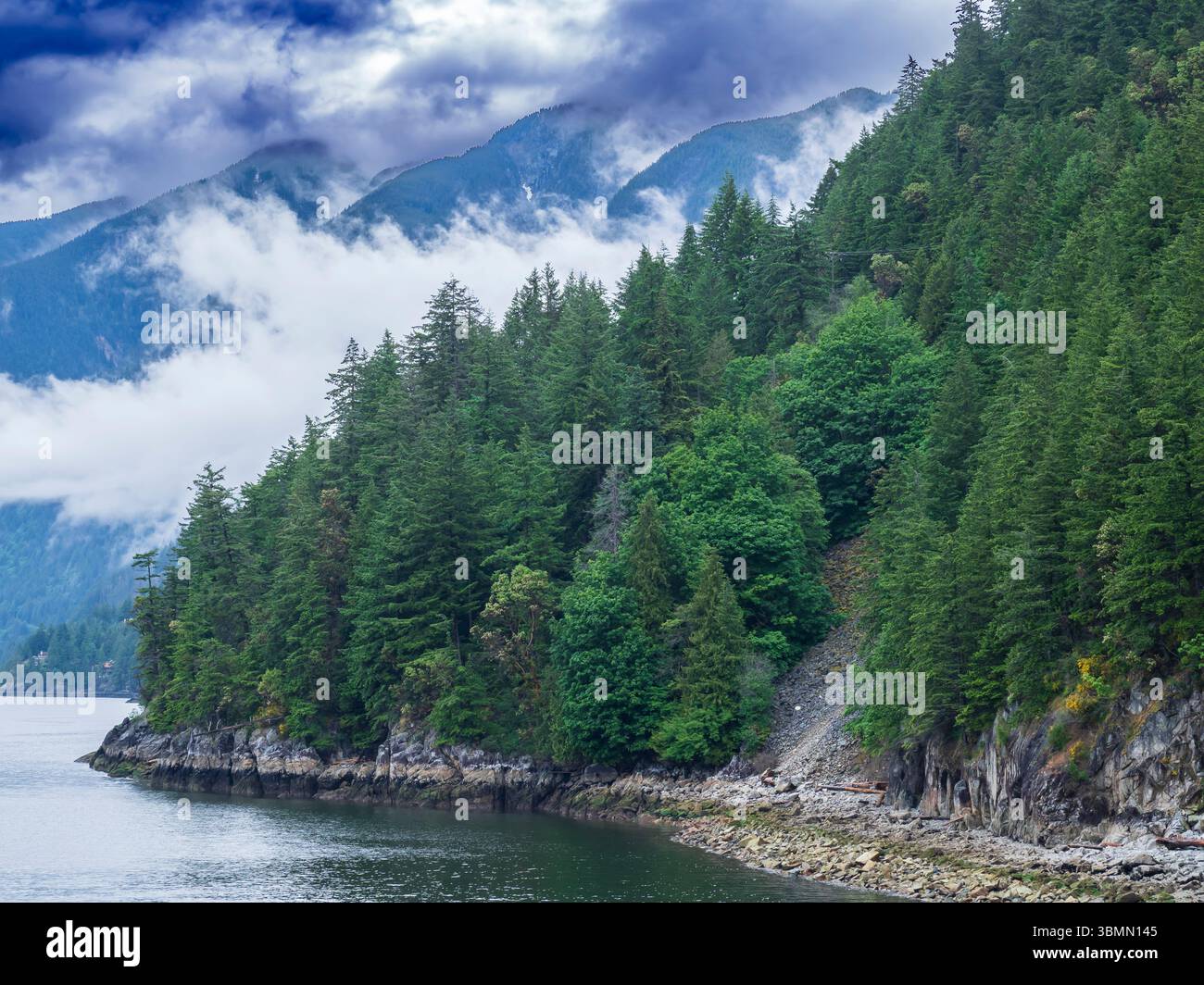 Rivage autour de Horseshoe Bay, Colombie-Britannique, Canada. Banque D'Images