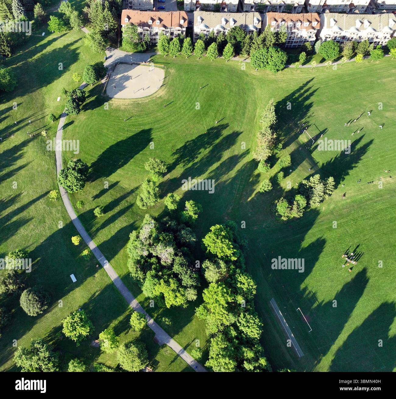 Un parc verdoyant animé avec un diamant de baseball et des arbres dispersés projetant de longues ombres se trouve à côté des maisons de ville résidentielles Banque D'Images