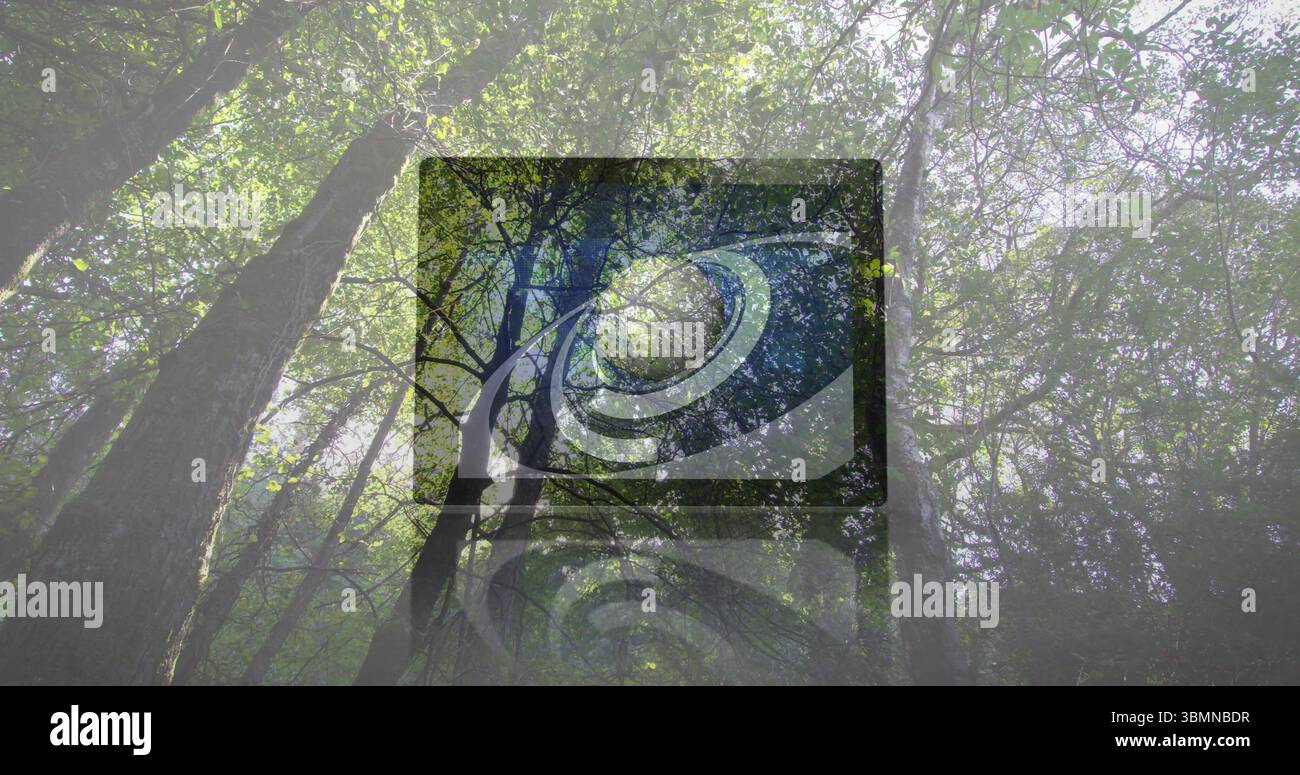 Affichage d'un grand écran plat se fondant dans le défrichement forestier dense, vortex en spirale art Banque D'Images