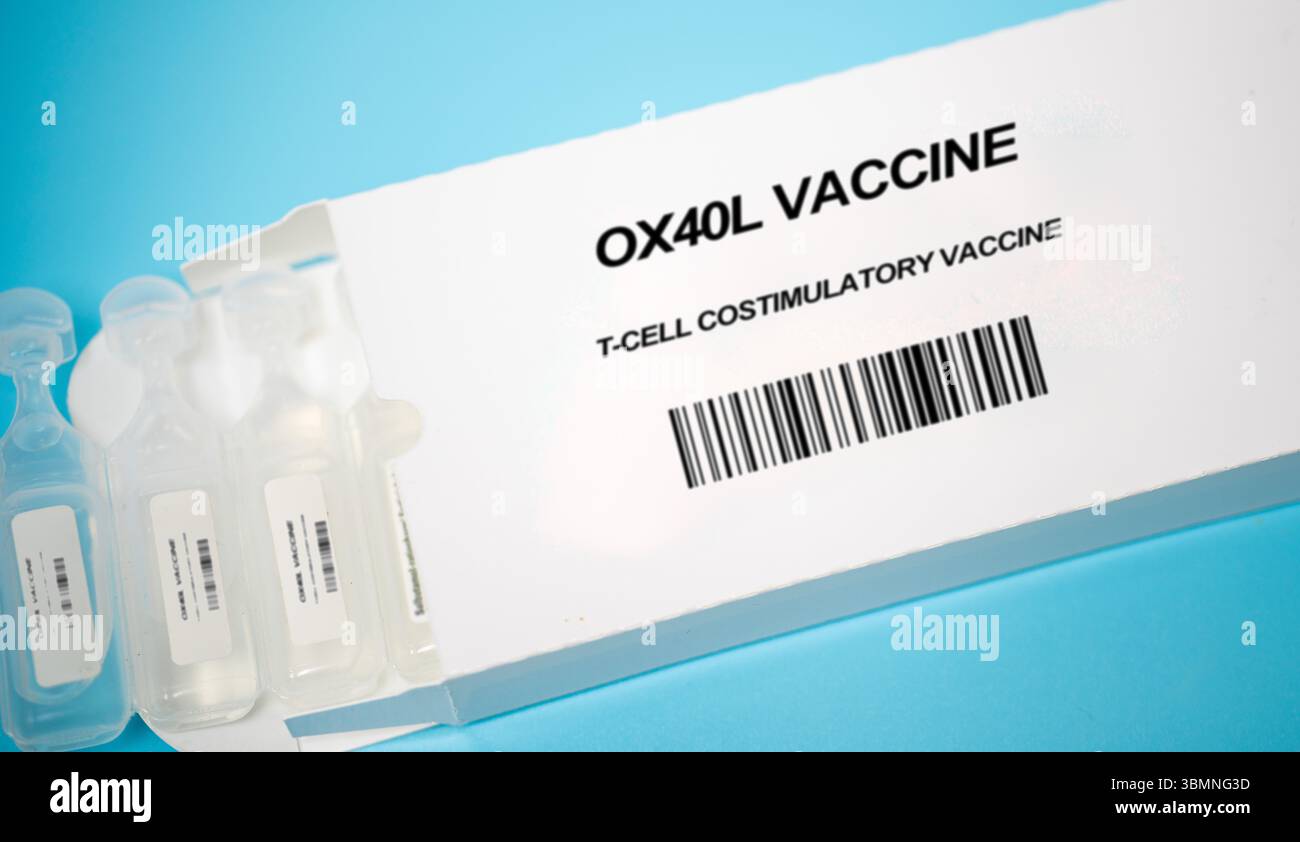 Vaccin OX40L. Vaccin co-stimulateur de lymphocytes T. Active la voie OX40 pour améliorer la prolifération des lymphocytes T. Améliore les réponses immunitaires en ciblant la voie du ligand OX40 (OX40L), favorisant l'activation et la survie des lymphocytes T pour augmenter la clairance tumorale. Banque D'Images