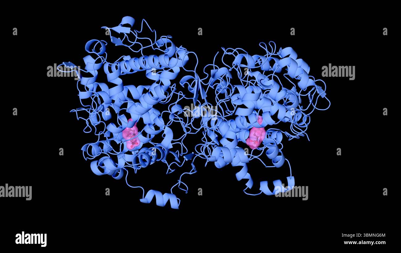 Illustration du site où l'ibuprofène se lie à l'enzyme cyclooxygénase (COX) dans le corps humain Banque D'Images