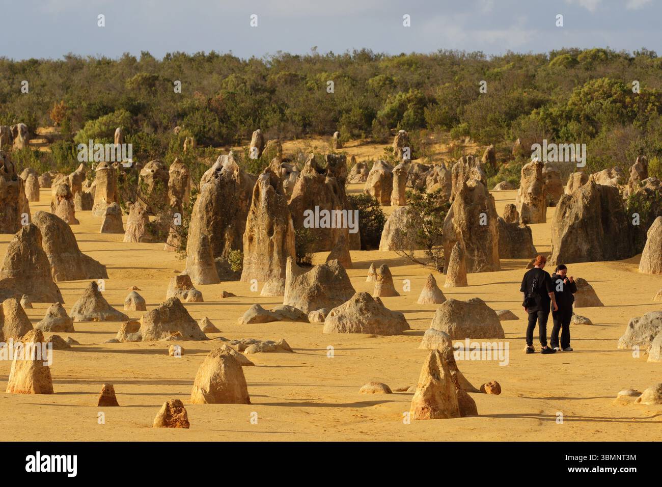 Les Pinnacles, formations rocheuses naturelles et attraction touristique dans le parc national de Nambung, au nord de Perth, Australie occidentale, Australie juin 2025 Banque D'Images