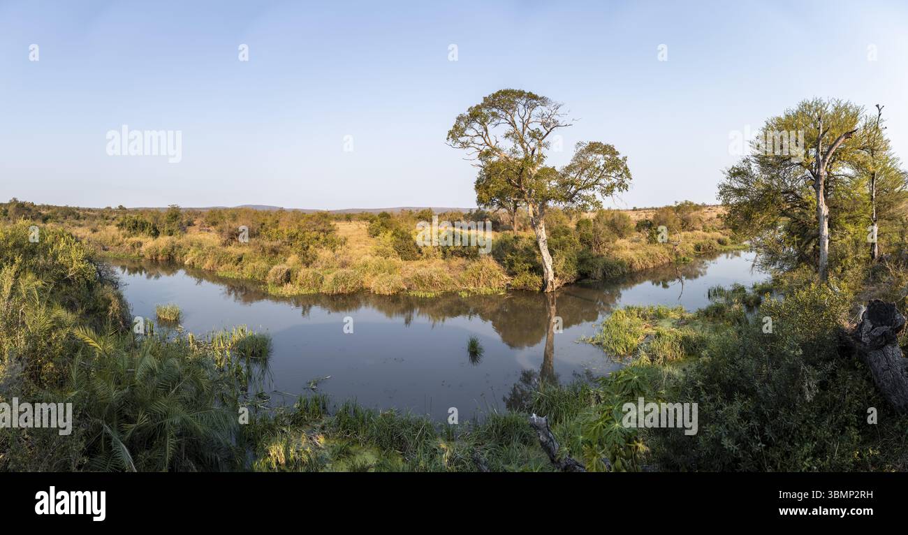 Paysage fluvial idyllique, savane africaine, Parc National Kruger, Afrique du Sud, Afrique Banque D'Images