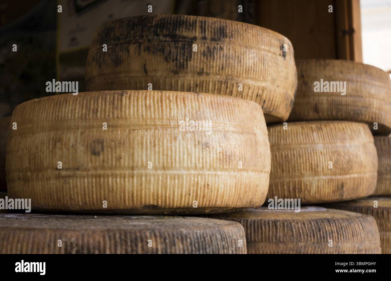 Assortiment de fromages locaux faits à la main, sur une foire des produits traditionnels Banque D'Images