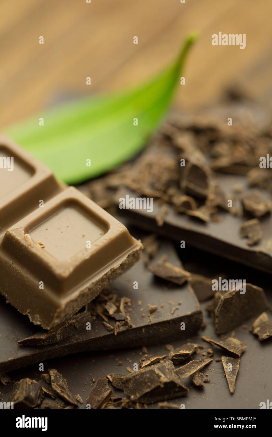 le carré de chocolat au lait repose sur des fragments de chocolat noir à côté de la feuille verte dans la macro photographie Banque D'Images