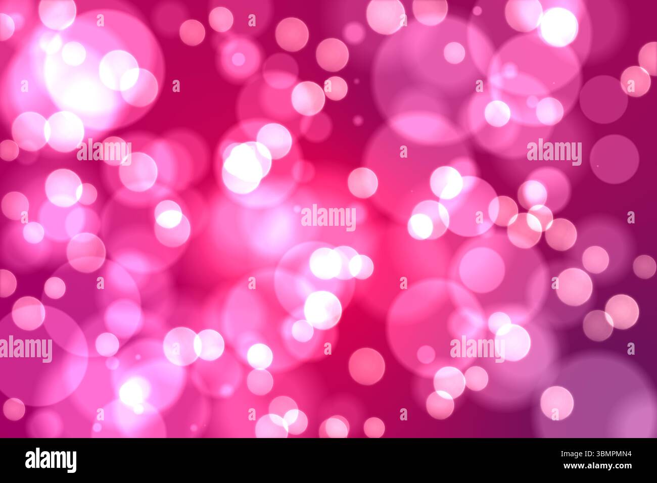 Points lumineux lumière sur Rose Banque D'Images