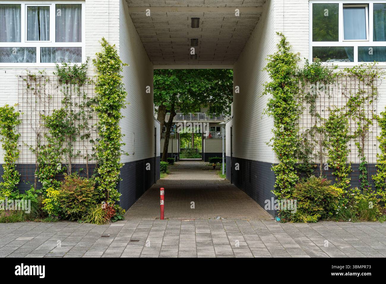 Façade verte de l'immeuble d'appartements à Amsterdam Zuidoost avec des plantes grimpantes sur treillis, écologisation urbaine et jardinage vertical Banque D'Images