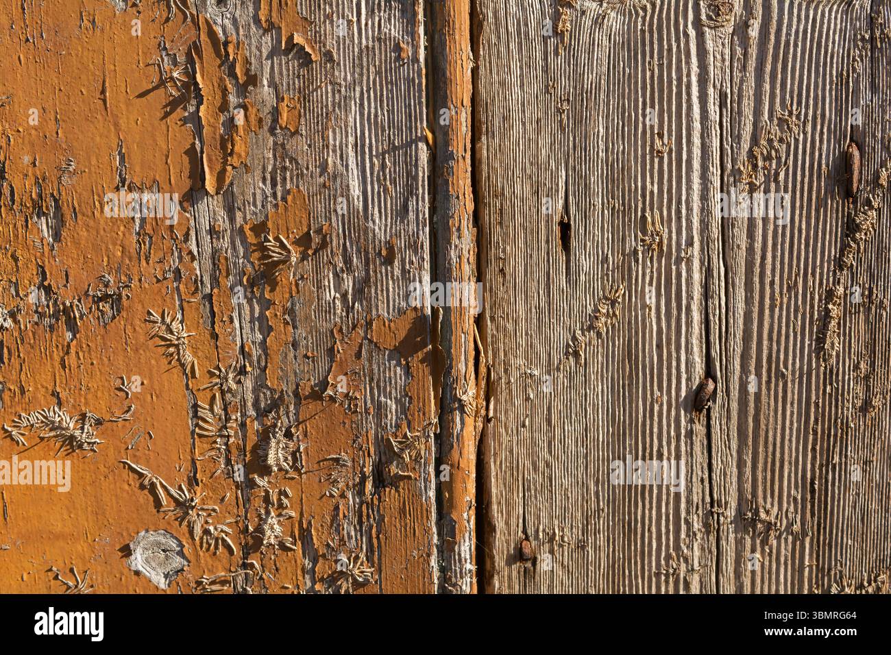 Vieux bois avec une texture forte Banque D'Images