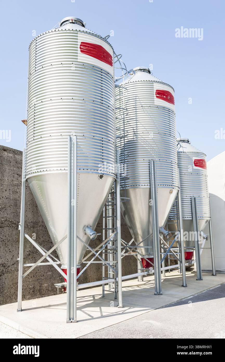 Silos de stockage de farine pour l'alimentation Banque D'Images