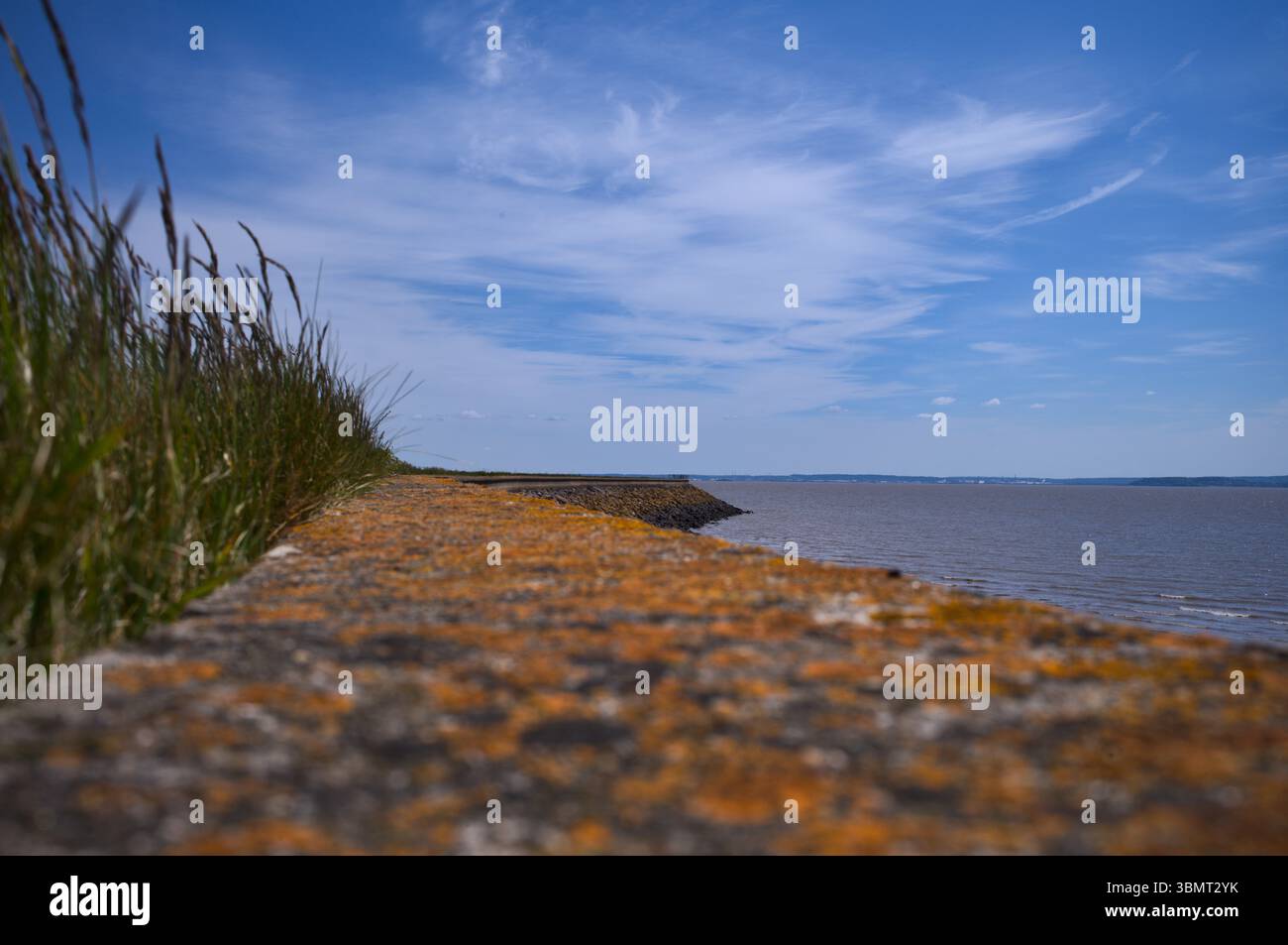 Digue Goldcliff vers le nord. Mur en pierre altérée. Banque D'Images
