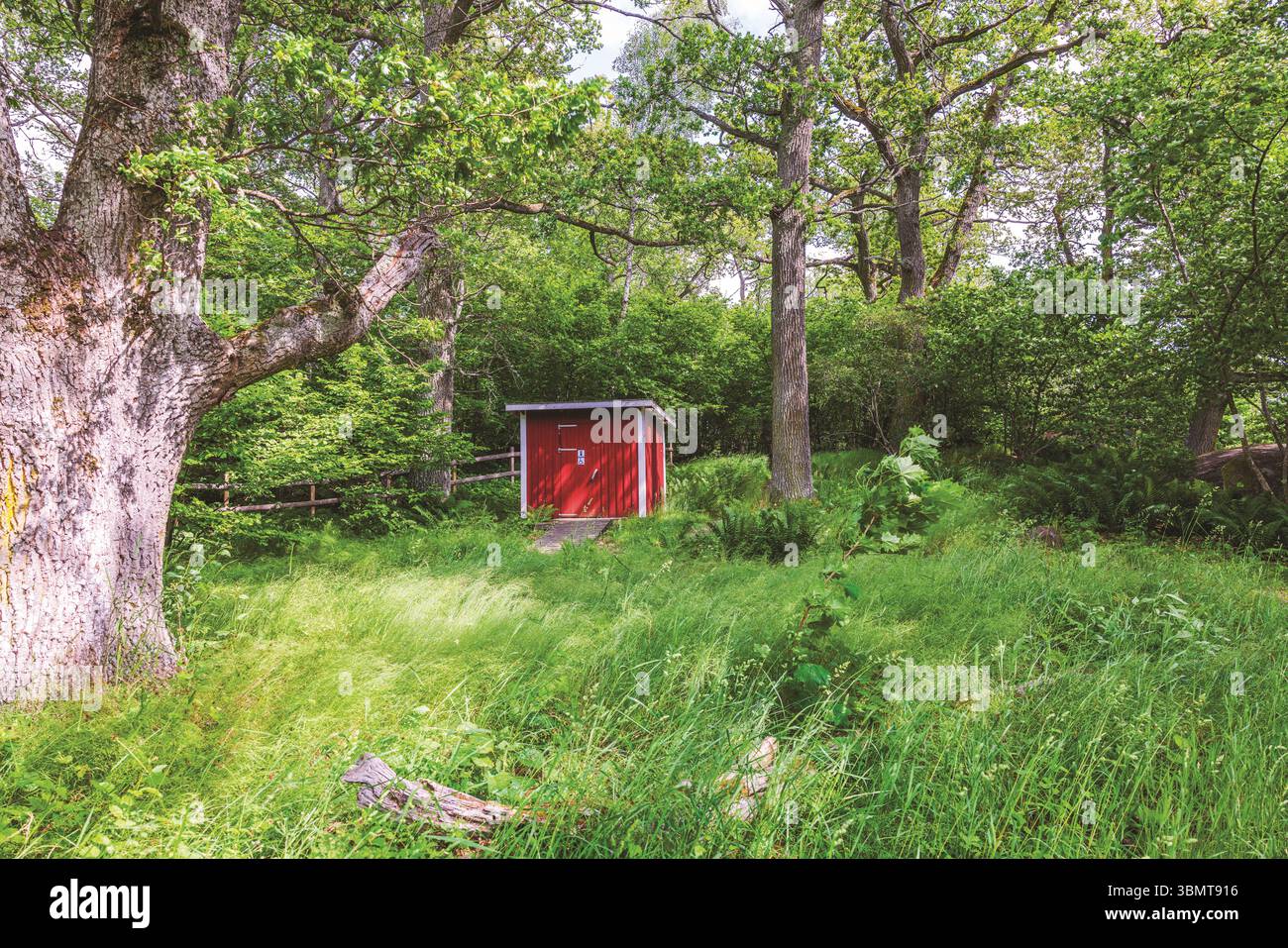 Cabine de toilette bio en forêt avec des panneaux pour l'accès public et handicapé entouré d'une végétation verte. Suède. Banque D'Images