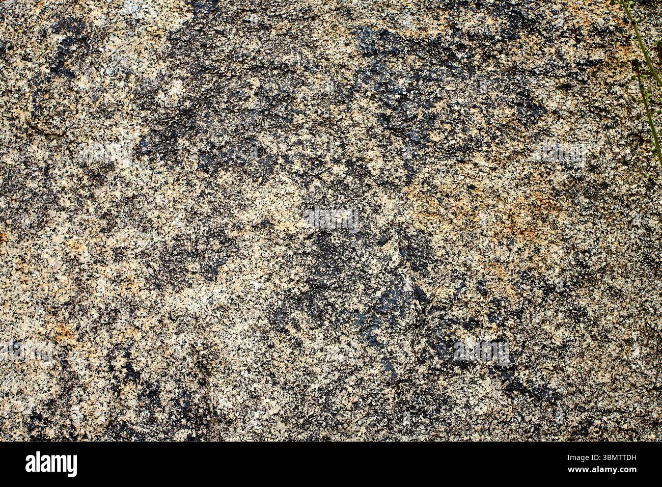 Texture rugueuse de pierre de montagne naturelle, idéale pour une utilisation comme matériau de finition ou de fond. Juillet 2025. Banque D'Images