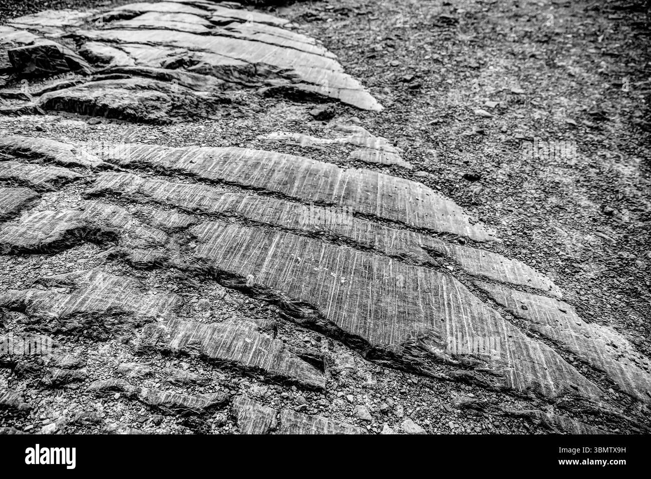 Gros plans des rochers sous le glacier Athabasca en Alberta Banque D'Images