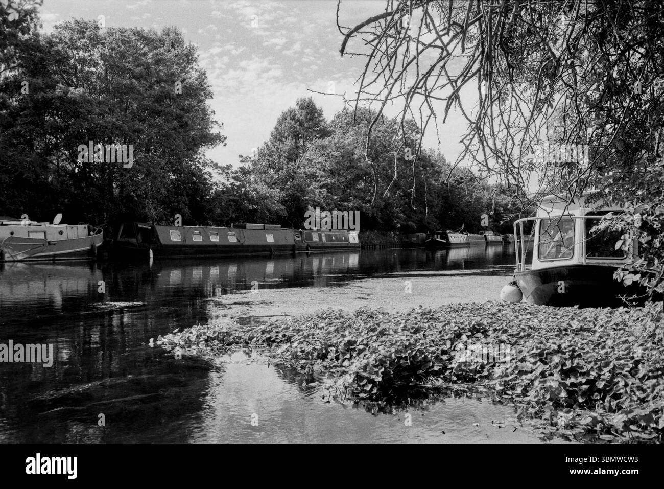 La rivière Lea en été sur les marais de Walthamstow, Londres Royaume-Uni, en monochrome Banque D'Images