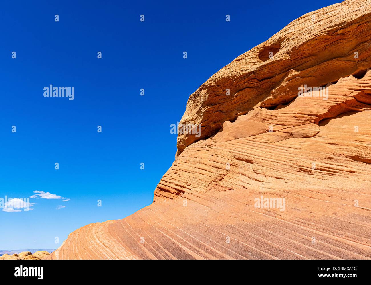 Modèles d'érosion sur Slick Rock dans la formation de New Wave, Glen Canyon National Recreation Area, Arizona, États-Unis Banque D'Images