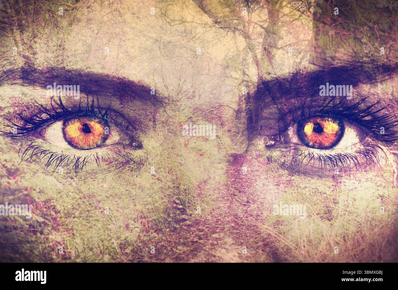 Les yeux de chat dorés avec des cils sombres se fondent dans le chemin forestier, dans l'art surréaliste à double exposition Banque D'Images