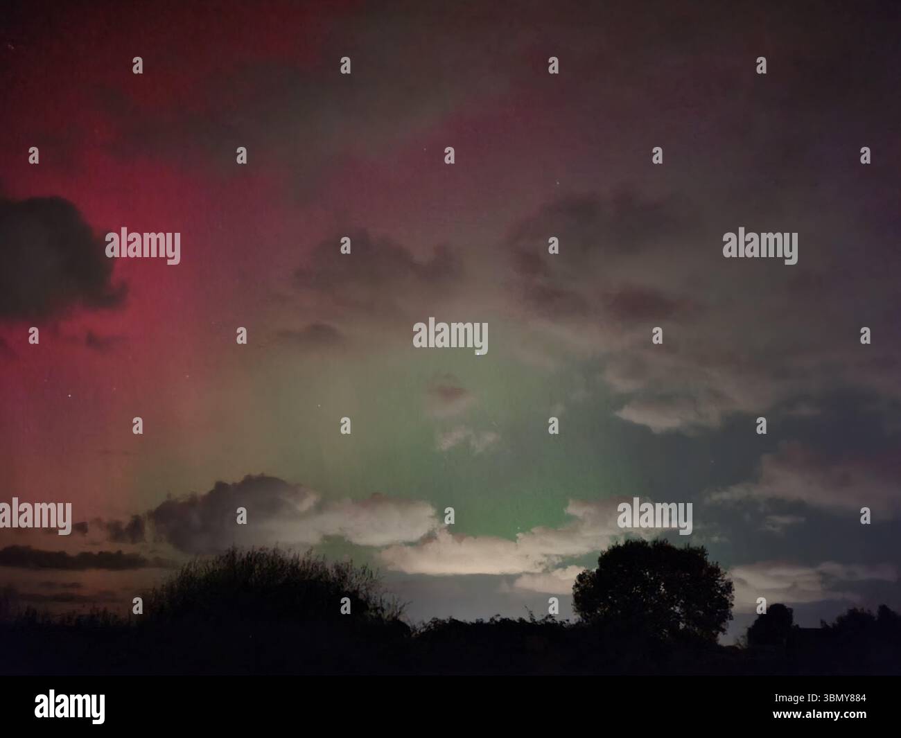 Aurores boréales illuminant le ciel nocturne au-dessus des arbres silhouettés - Image de stock capturée avec un smartphone