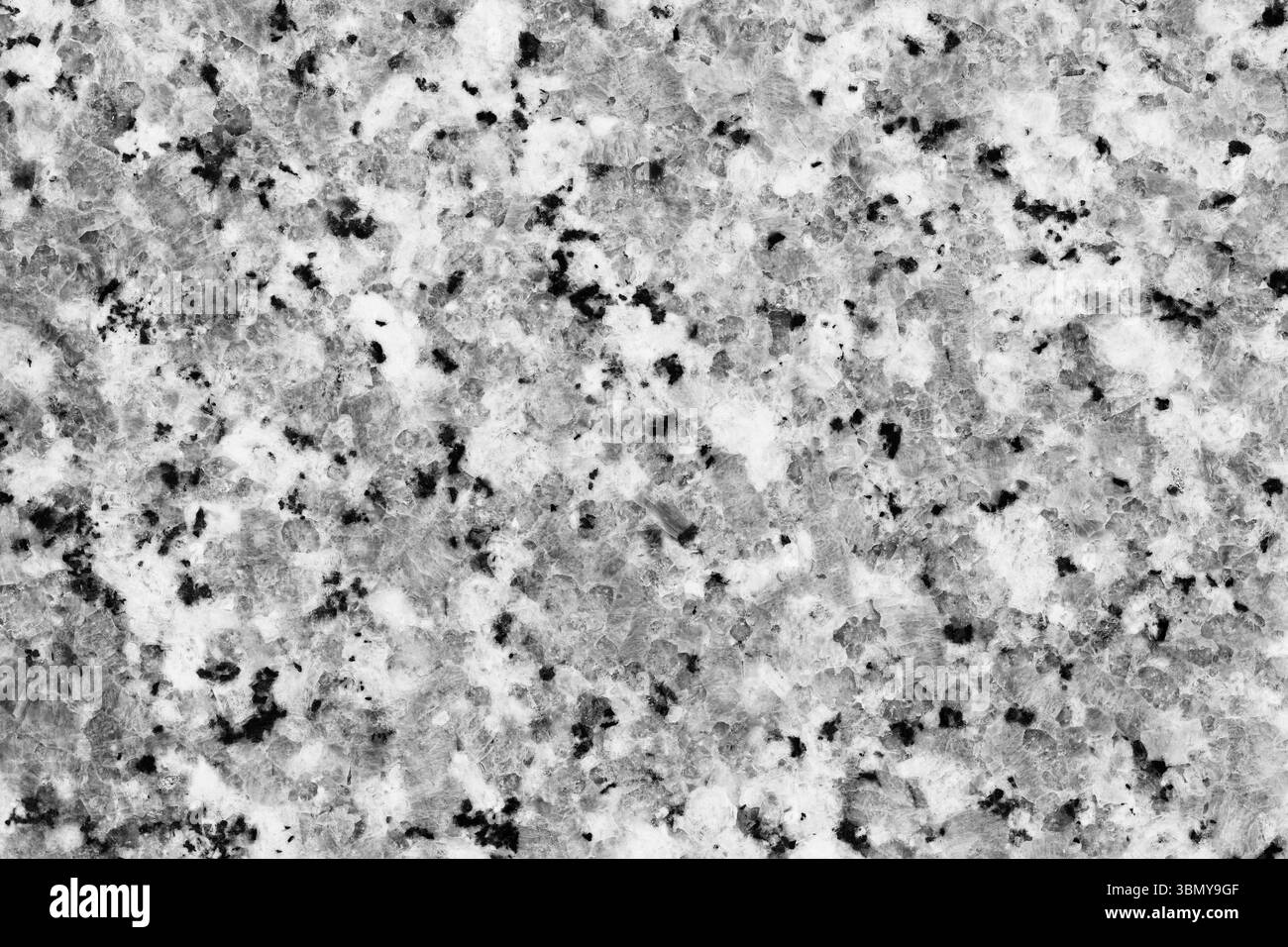 il est en marbre noir et blanc pour le motif et le fond. Banque D'Images