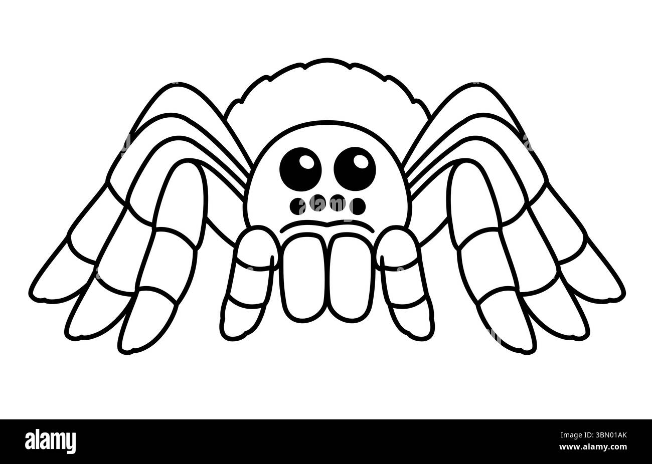 Dessin d'araignée de tarantula de dessin animé mignon. Illustration vectorielle d'art au trait noir et blanc. Illustration de Vecteur