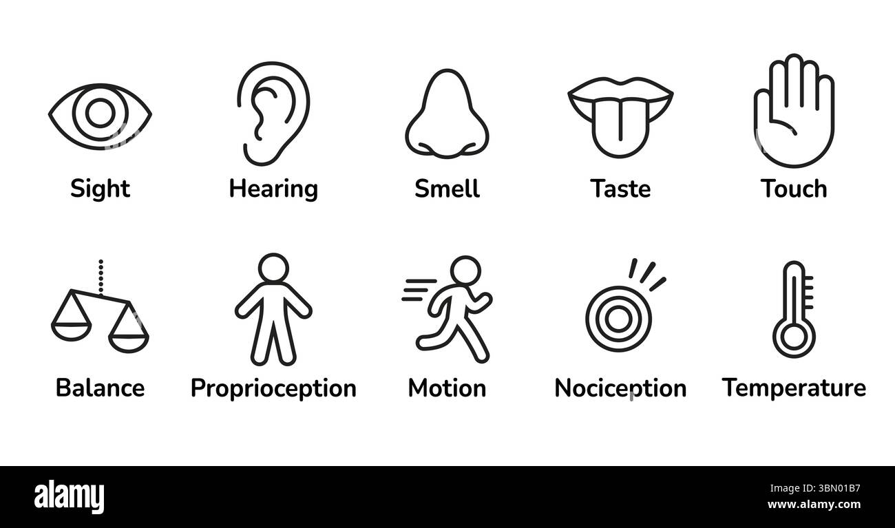 Icon Set de sens de la perception humaine. Vue, odorat, ouïe, toucher, goût et sens de l'équilibre, la température, le corps et la douleur. Ligne simple, un minimum d'ico Illustration de Vecteur