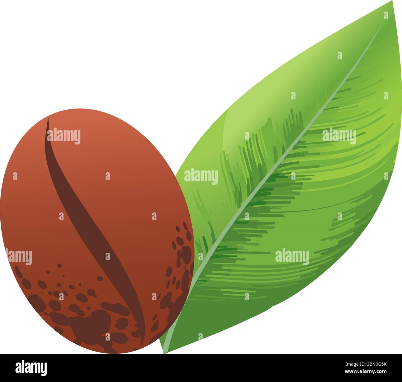 Un grain de café à côté d'une feuille verte. Illustration de Vecteur