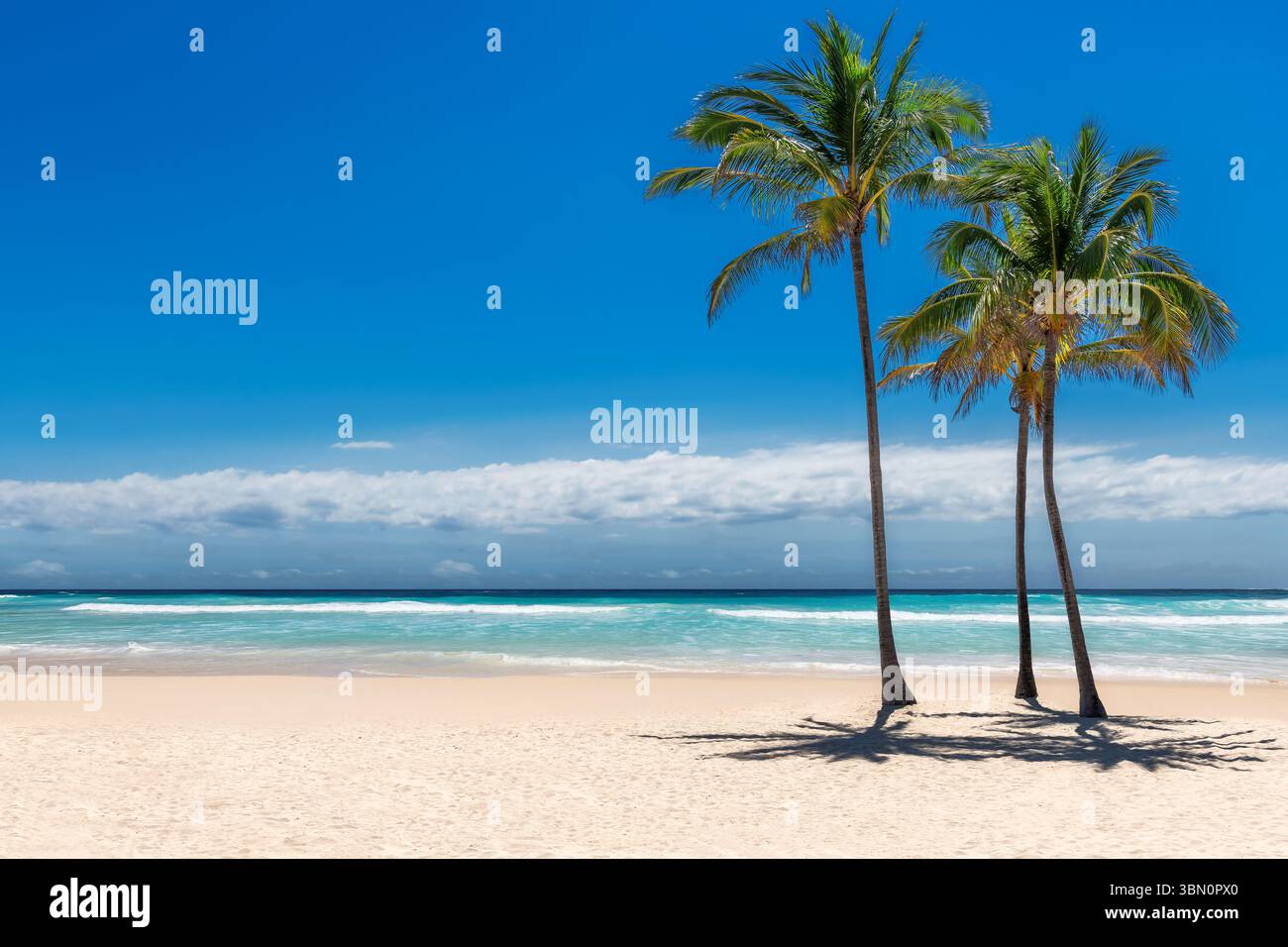Plage de sable blanc ensoleillé avec cocotier et mer turquoise. Vacances d'été et concept de plage tropicale. Banque D'Images