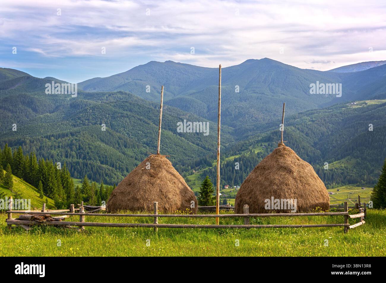 Bottes de foin sur Mountain Meadow avec vue sur la forêt. Meules de foin traditionnelles entourées d'une clôture en bois sur une colline herbeuse, surplombant une vaste montagne boisée Banque D'Images