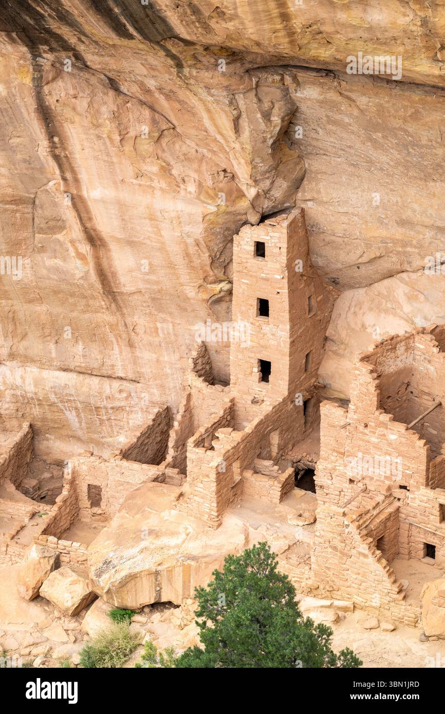 Cliff Dwellings, Mesa Verde National Park, Colorado, USA, par Dominique Braud/Dembinsky photo Assoc Banque D'Images