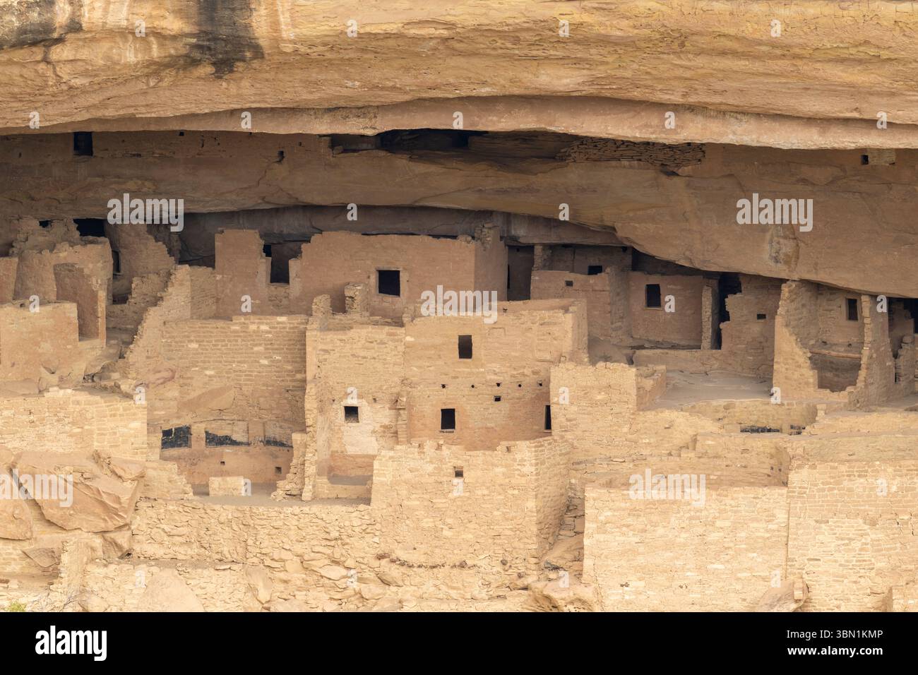 Cliff Dwellings, Mesa Verde National Park, Colorado, USA, par Dominique Braud/Dembinsky photo Assoc Banque D'Images