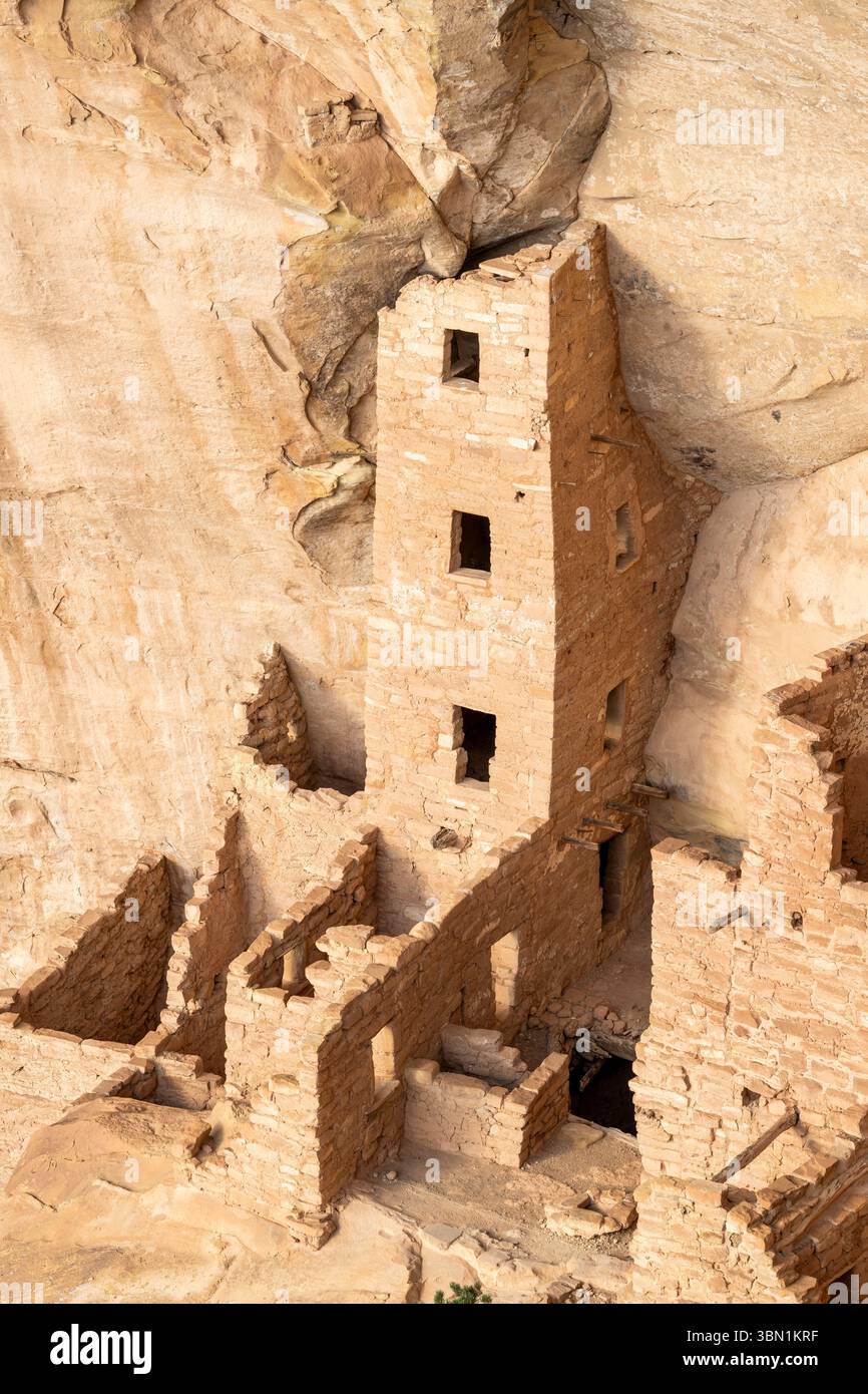Cliff Dwellings, Mesa Verde National Park, Colorado, USA, par Dominique Braud/Dembinsky photo Assoc Banque D'Images