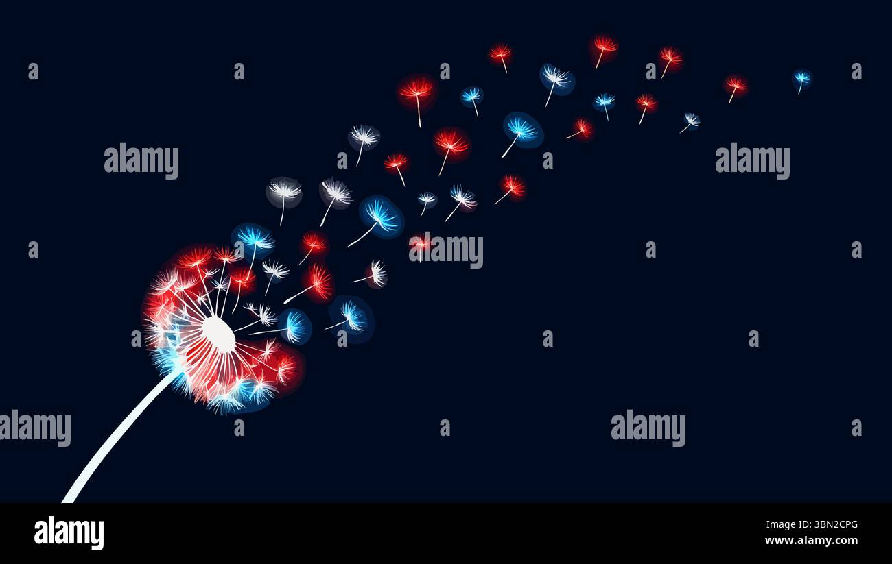 Les graines de pissenlit brillantes en blanc rouge et bleu volent sur fond sombre Illustration de Vecteur