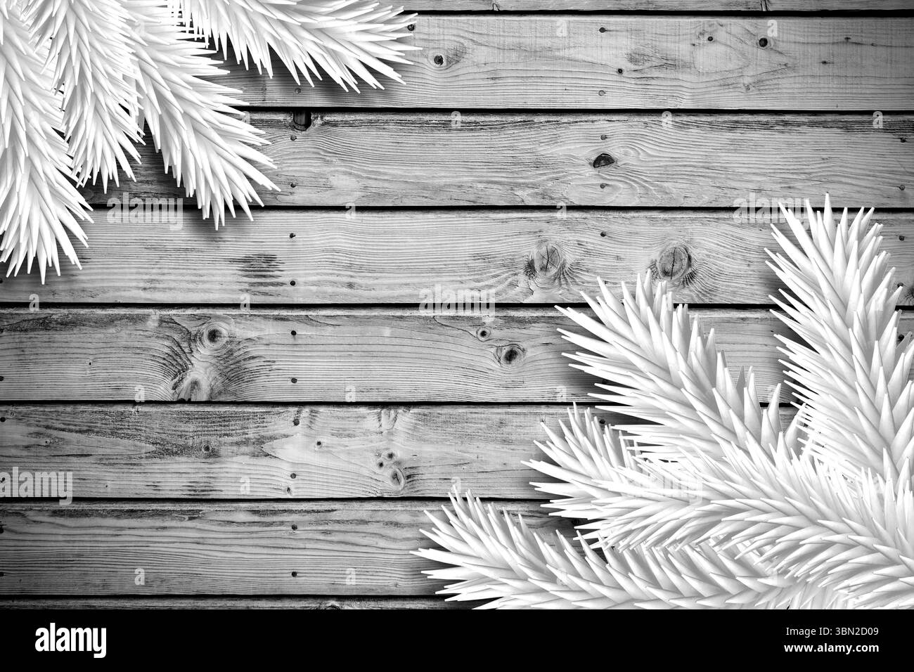 Branches de sapin sur des planches Banque D'Images