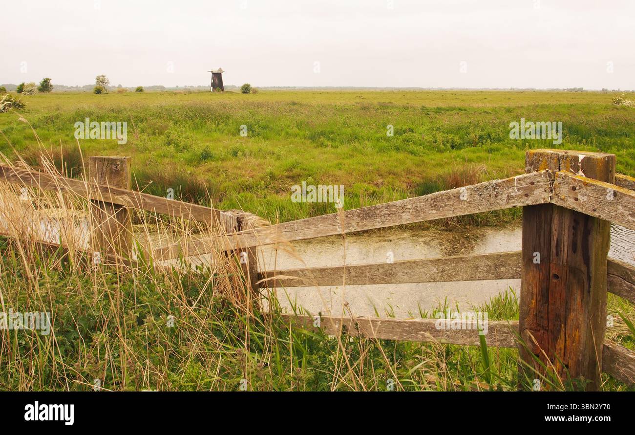 Un moulin à vent, debout, dans les grandes terres agricoles ouvertes sur les marais de South Walsham avec de l'herbe et des roseaux, barrière d'eau et clôture pour bétail, Norfolk, Angleterre Royaume-Uni Banque D'Images