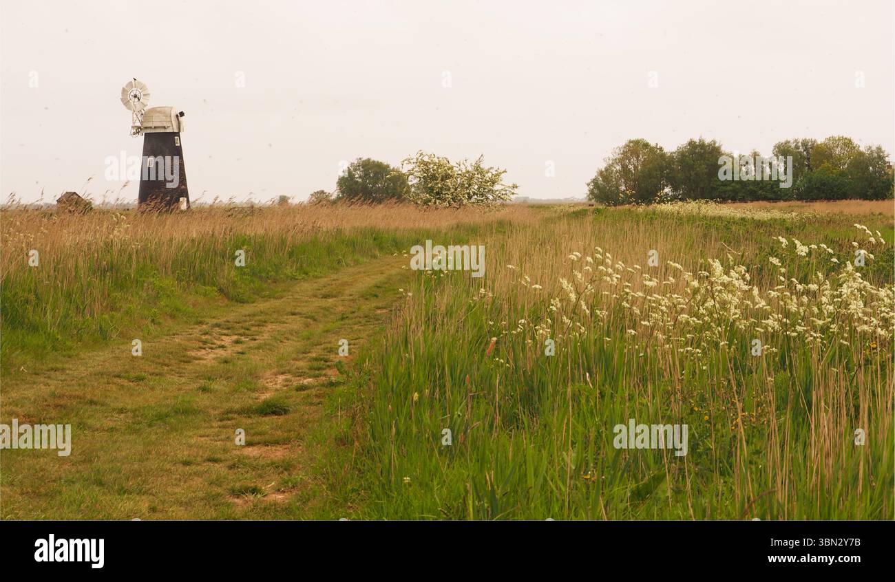 Un moulin à vent, debout haut, dans les terres agricoles ouvertes sur les marais de South Walsham montrant la longue herbe et les roseaux, grand espace ouvert et le ciel, Norfolk, Angleterre Royaume-Uni Banque D'Images