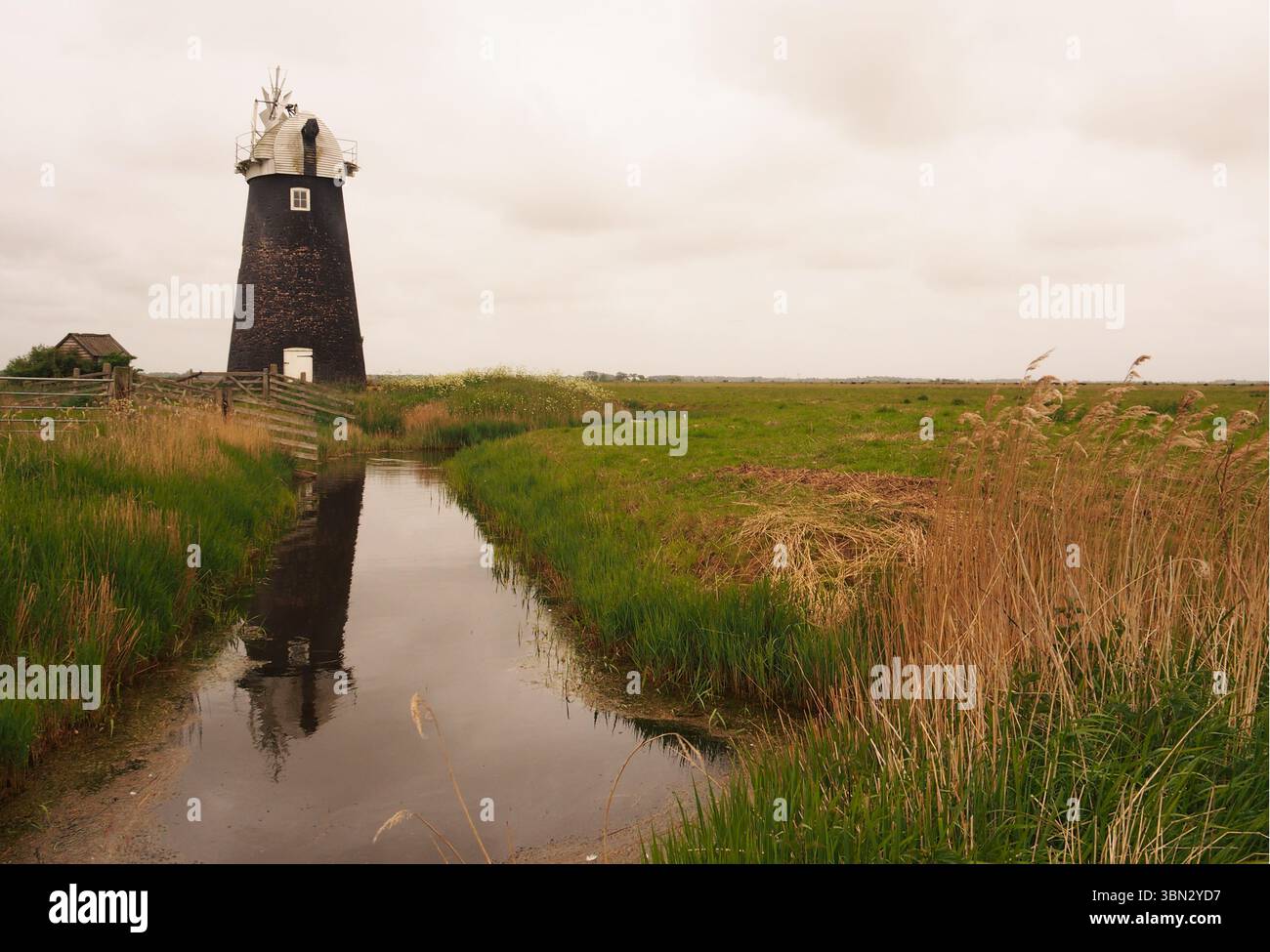 Un moulin à vent, debout, dans des terres agricoles ouvertes sur les marais de South Walsham montrant la longue herbe, la barrière de l'eau et un grand espace ouvert, Norfolk, Angleterre Royaume-Uni Banque D'Images