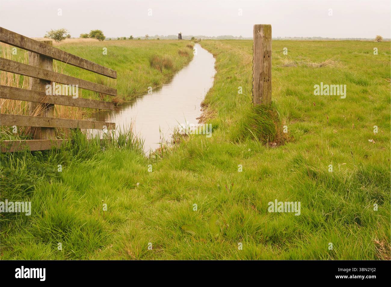 Un moulin à vent, debout, dans les grandes terres agricoles ouvertes sur les marais de South Walsham avec de l'herbe et des roseaux, barrière d'eau et clôture pour bétail, Norfolk, Angleterre Royaume-Uni Banque D'Images