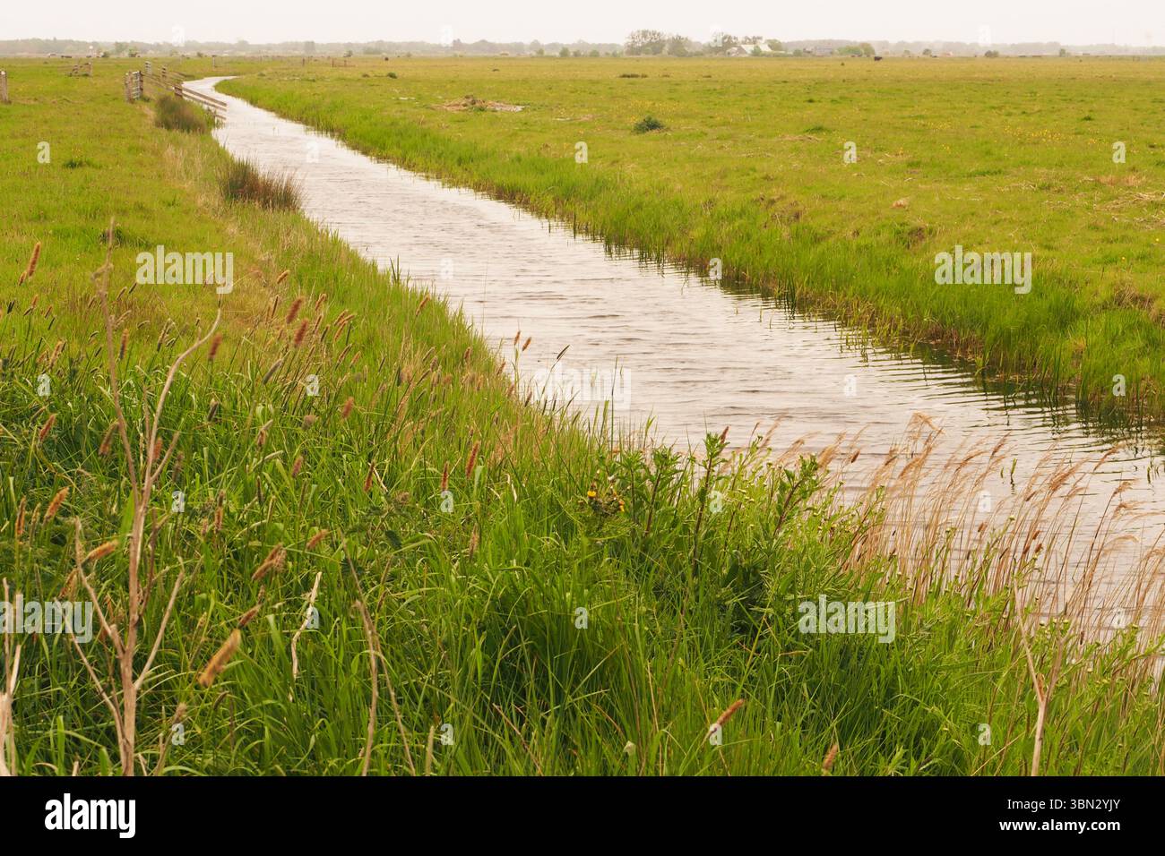 Une barrière d'eau pour le bétail sur les marais de South Walsham montrant les terres agricoles larges et plates utilisées pour le pâturage du bétail, Norfolk, Angleterre, Royaume-Uni Banque D'Images