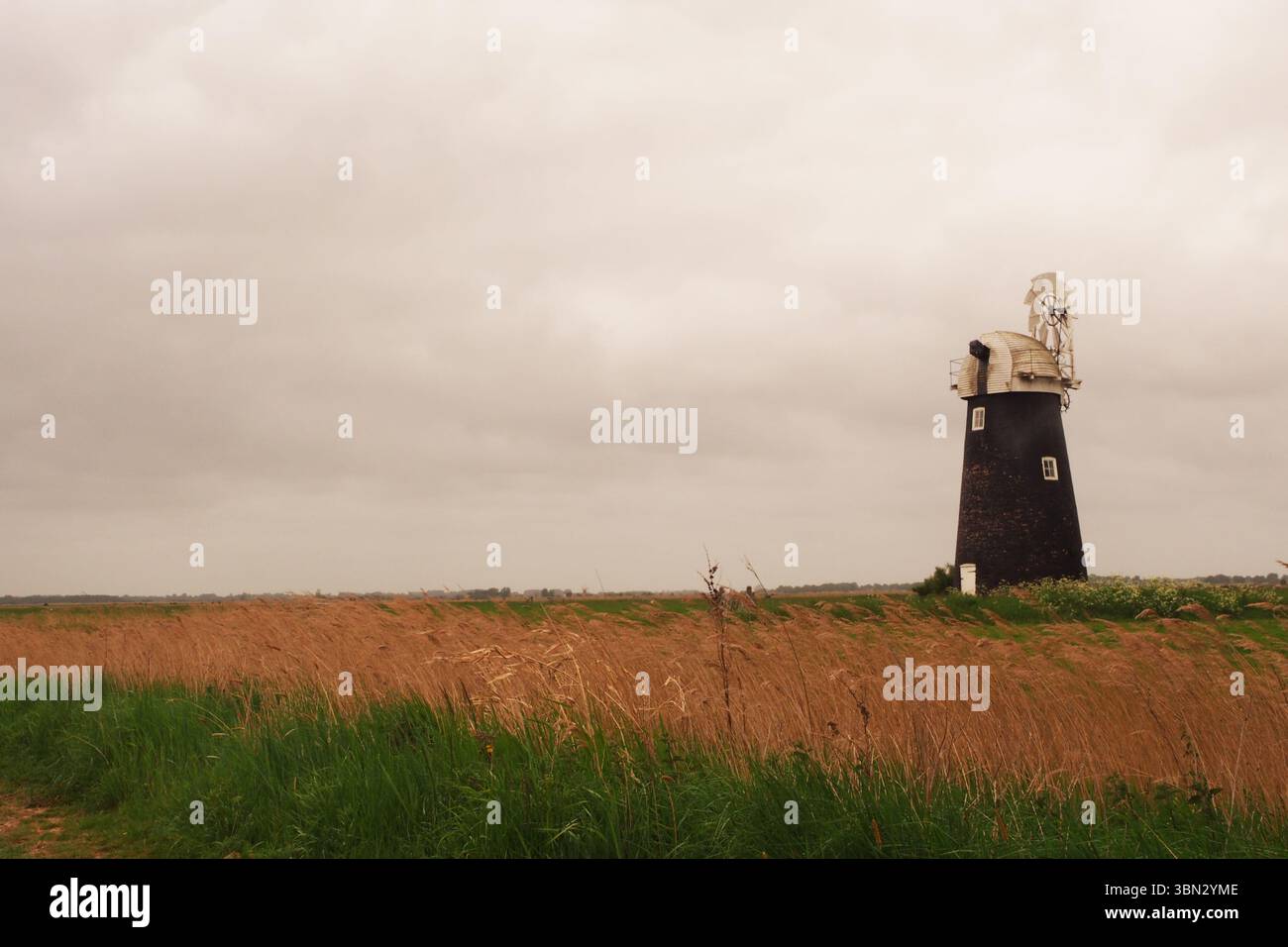 Un moulin à vent, debout haut, dans les terres agricoles ouvertes sur les marais de South Walsham montrant la longue herbe et les roseaux, grand espace ouvert et le ciel, Norfolk, Angleterre Royaume-Uni Banque D'Images