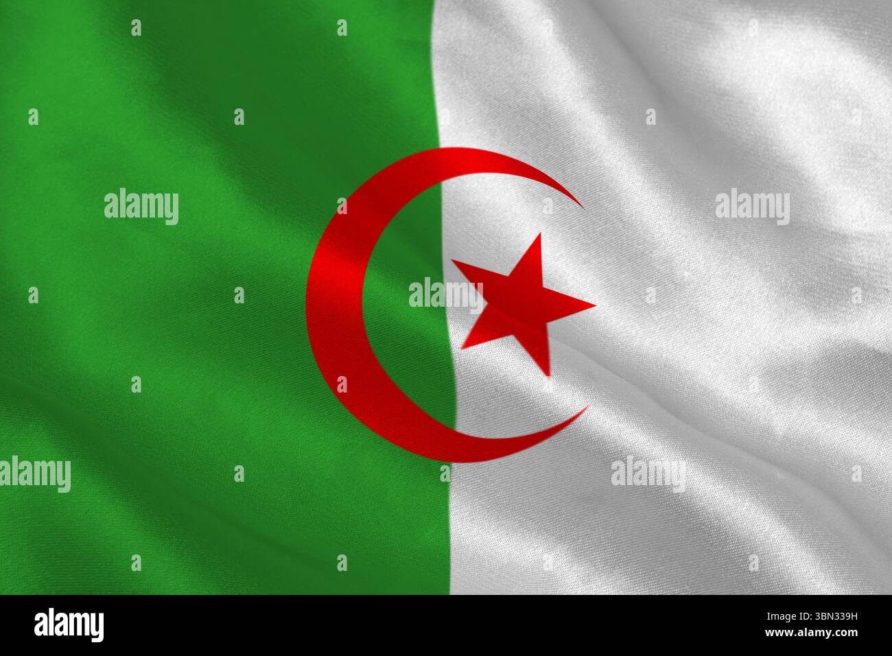 Illustration vectorielle montrant le drapeau algérien agitant avec des panneaux blancs verts avec une étoile rouge en croissant Banque D'Images