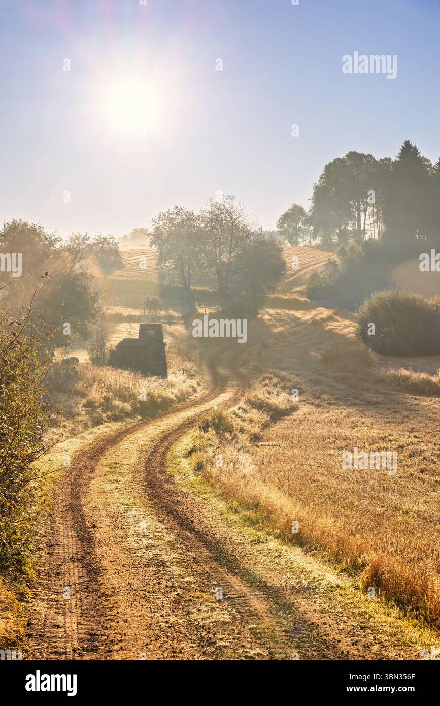 Soleil brille sur un paysage de campagne avec un chemin de terre sinueux un matin d'automne brumeux Banque D'Images