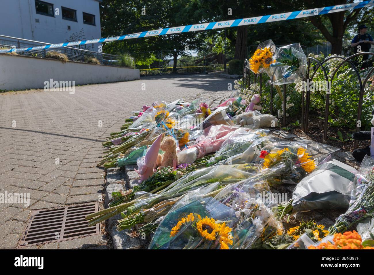 Southend on Sea, Royaume-Uni. 29 juin 2025. Hommages floraux et jouets en peluche laissés près de l'arbre effondré. Partie de l'arbre géant qui s'est effondré samedi 28 juin. Une fillette de 7 ans a été déclarée morte à l'hôpital plus tard le même jour. Une fillette de 6 ans reste hospitalisée dans un état critique et trois autres enfants souffrent de blessures mineures. Penelope Barritt/Alamy Live News Banque D'Images