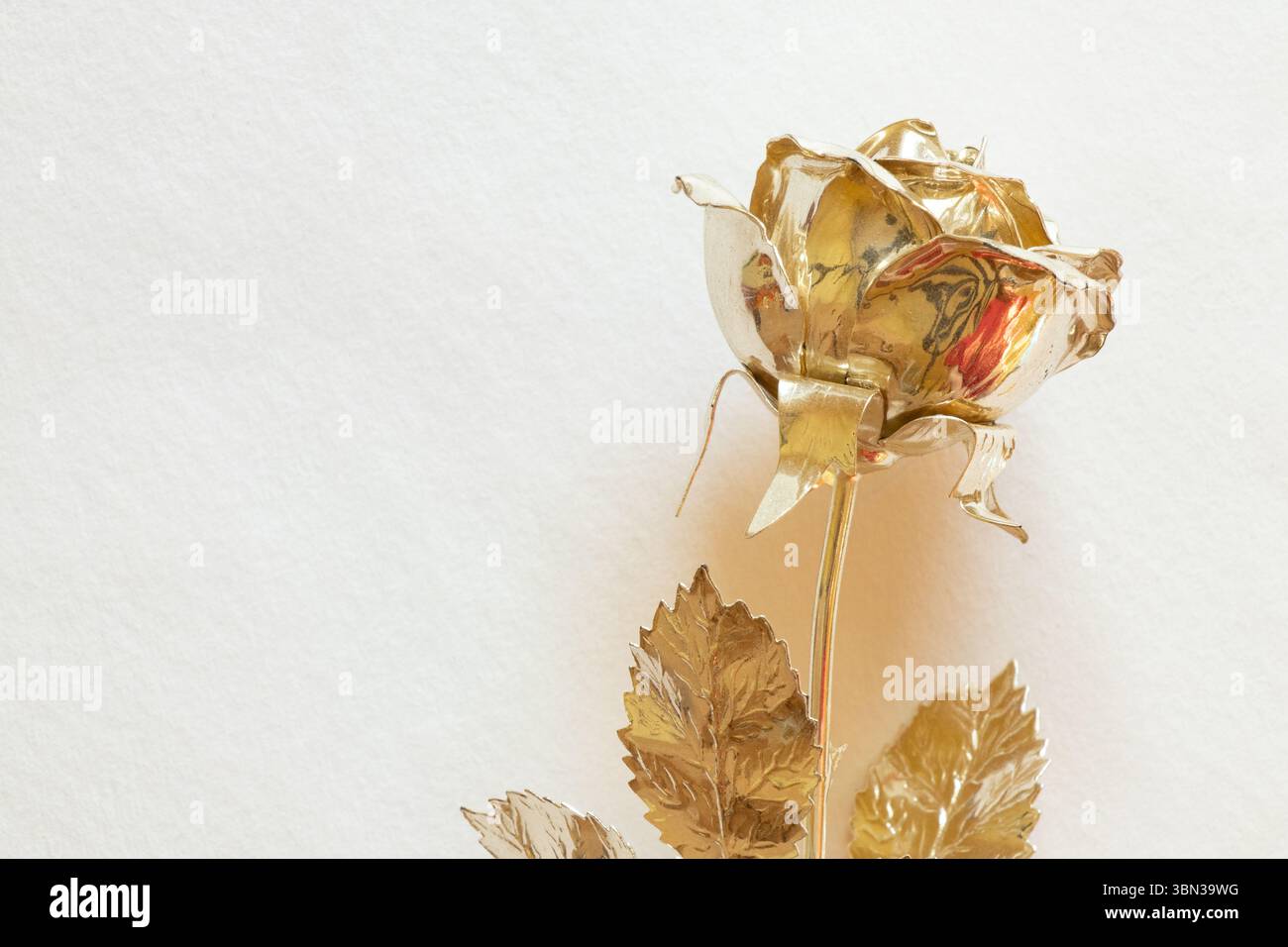 Rose métallique dorée sur fond blanc gros plan et espace vide Banque D'Images