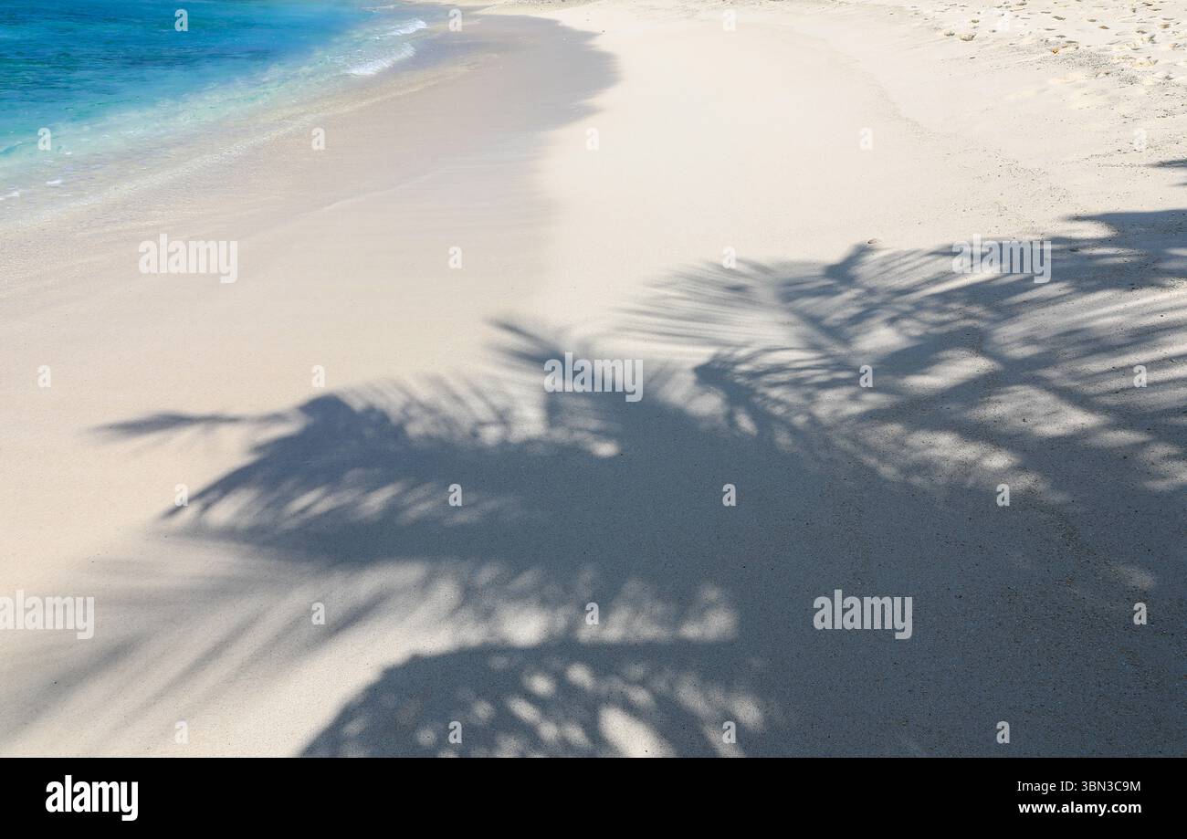 Ombres de palmiers sur la plage de la station de vacances Cinnamon Dhonveli, Malé North Harbour, Malé, Maldives, Océan Indien, Asie Banque D'Images