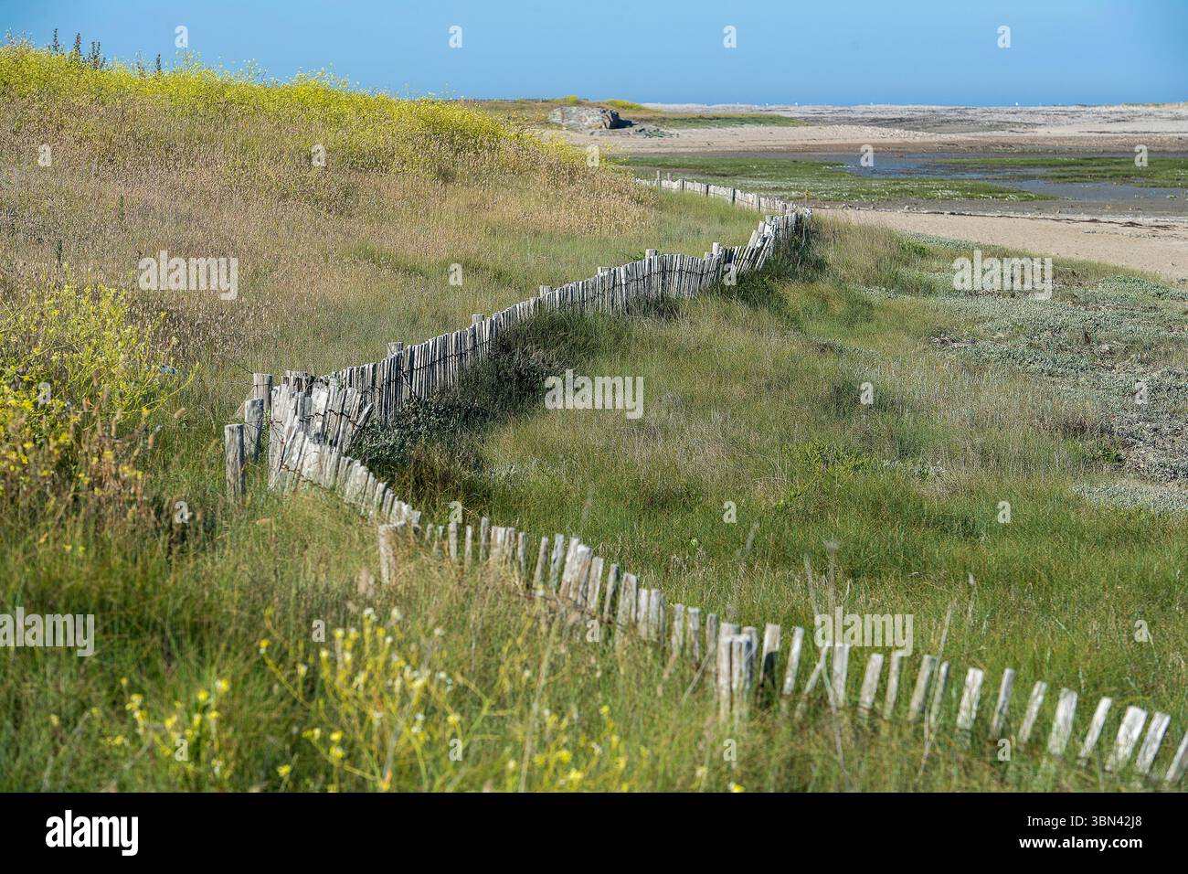 France. Brittany. Côtes d'Armor. Le sillon Talbert (commune de Pleubian) est une langue de sable et de galets qui fait saillie dans la mer et mesure app Banque D'Images