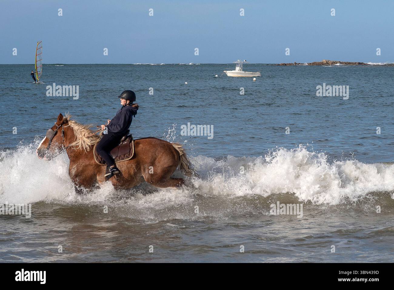 France. Brittany. Côtes d'Armor. Plage de Trelevern. Cheval de trait breton et son cavalier Banque D'Images