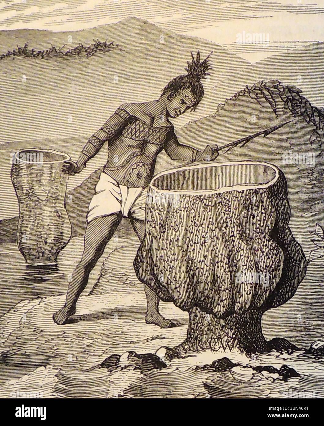 Gravure victorienne décrite comme un indigène inspectant une plante de Neptune's Cup ( Raphidophora patera) dans son environnement natal. Cela semble en fait être l'éponge nautique, la coupe de Neptune, (maintenant connue en latin sous le nom de Cliona patera) que l'artiste victorien a imaginé à tort comme une plante poussant sur terre. Autrefois considérée comme éteinte, elle a été redécouverte au large des côtes de Singapour et de Thaïlande en 2011 Banque D'Images