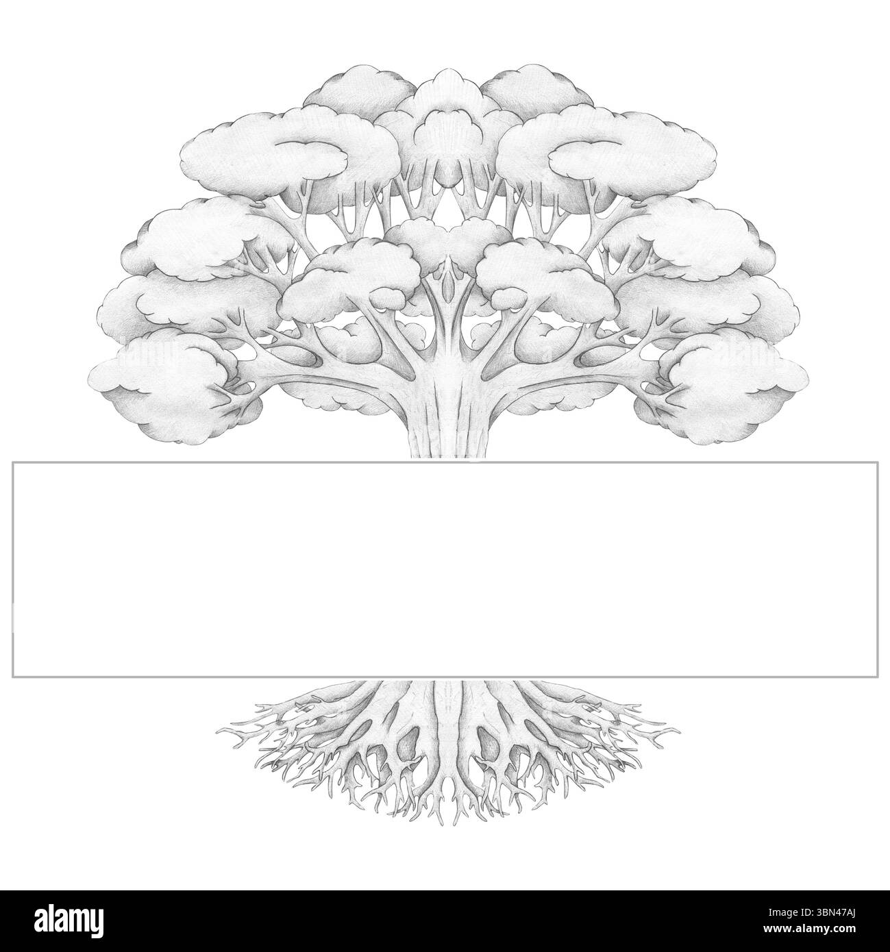 Un grand arbre avec une place pour le texte isolé sur un fond blanc. Illustration, art, dessin au crayon. Arbre généalogique, symbole, logo, étiquette, entreprise. Banque D'Images