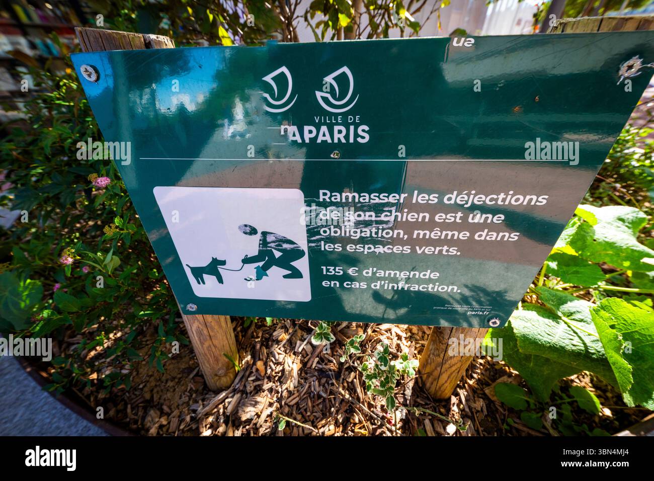 Paris, île-de-France, des pancartes demandant aux gens de ramasser leurs chiens. Banque D'Images