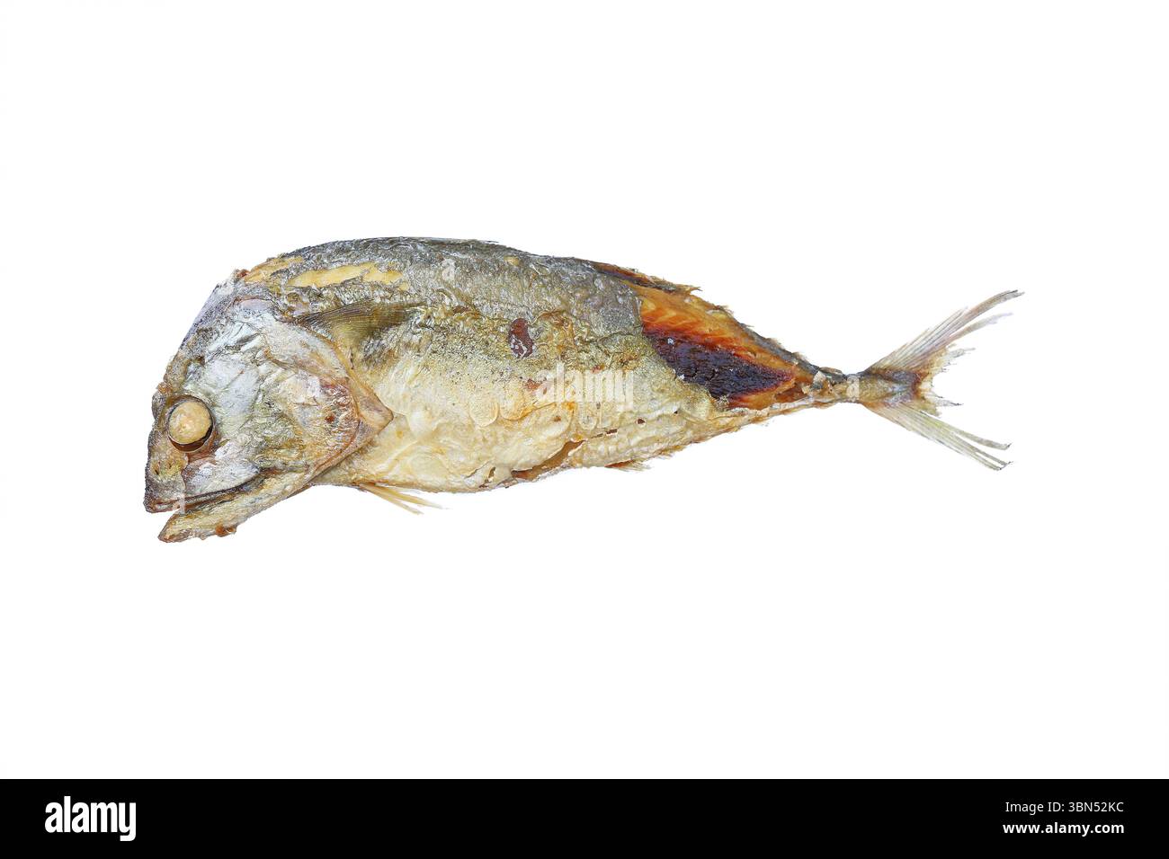 un maquereau frit isolé sur blanc. Banque D'Images